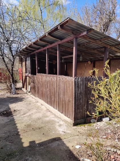 De vanzare casa spatioasa in comuna Marsa, Giurgiu - 8