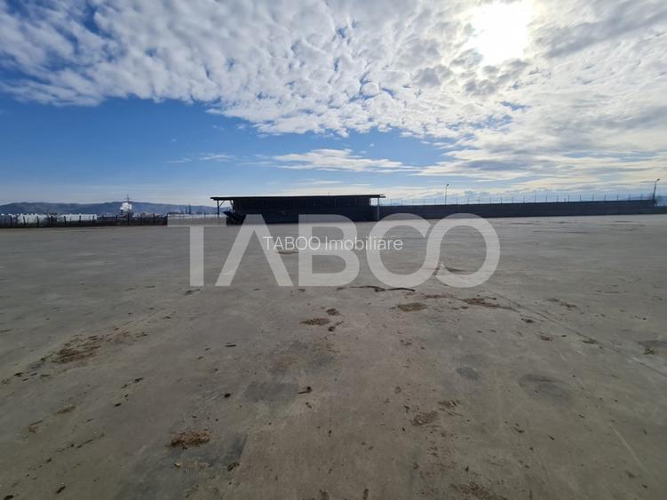 Spatiu industrial de inchiriat in Sebes judetul Alba - 8