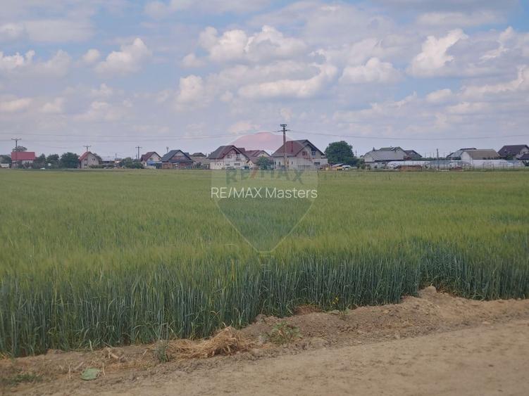 Teren intravilan 6,600mp Dumbraveni / Strada Principala spre Veresti - 12