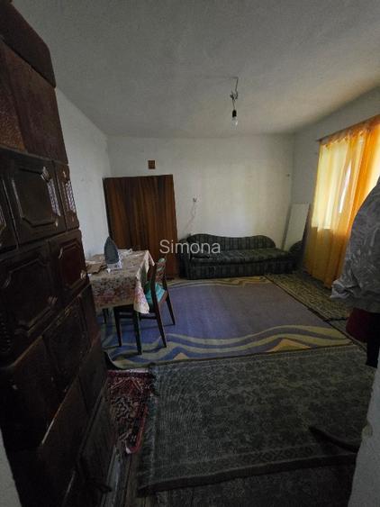 Aproape de Marginimea Sibiului, casa in inima unui parc - 8