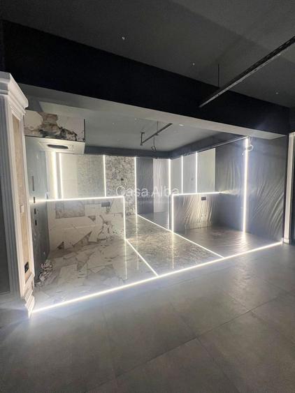 Tatarasi - Doi Baieti, spatiu 480mp de inchiriat, ideal showroom - 10