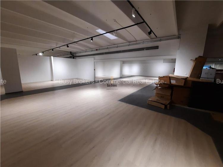 Spatii Comerciale - 500 mp - Showroom - Comert - 10