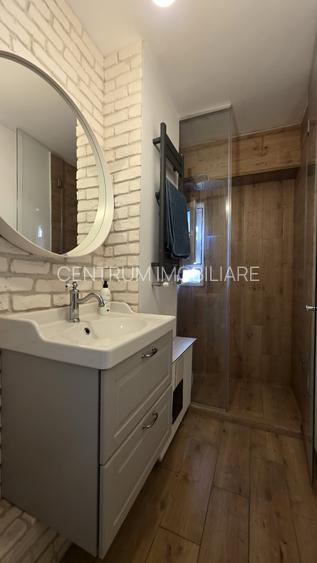 Inchiriere 2 camere Cismigiu - Sala Palatului - 11