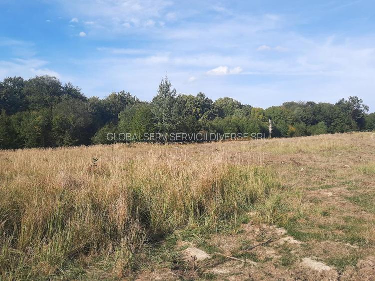FARA COMISIOANE TEREN parcelabil 10756mp linga padure Comuna Dumbravita Brasov - 2