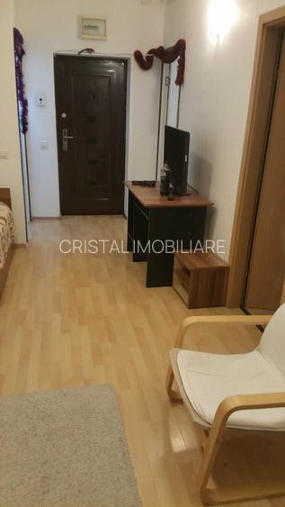 Garsonieră mobilată complet, terasă, etaj 3, Răsărit de Soare, pet friendly - 4