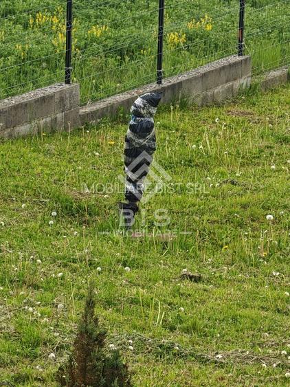 Teren în Crainimăt cu Proiect de Casă Inclus – Gata de Construcție! - 18