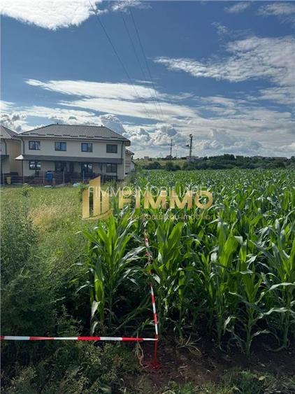 Teren Iravilan | Lisaura | 600 mp | ID: 1384 - 2