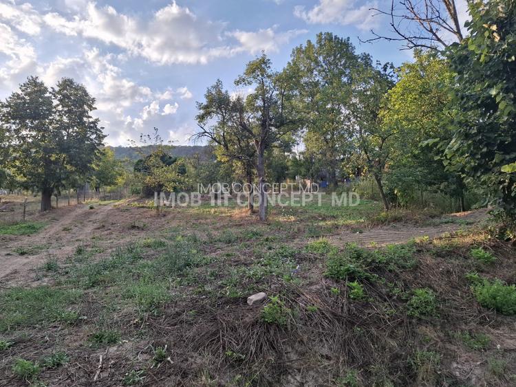Teren spectaculos cu padure, livada si priveliste panoramica in Soimari PH - 3