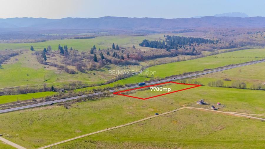 Teren 7786 mp/Curți construcții/Benzinărie - 3