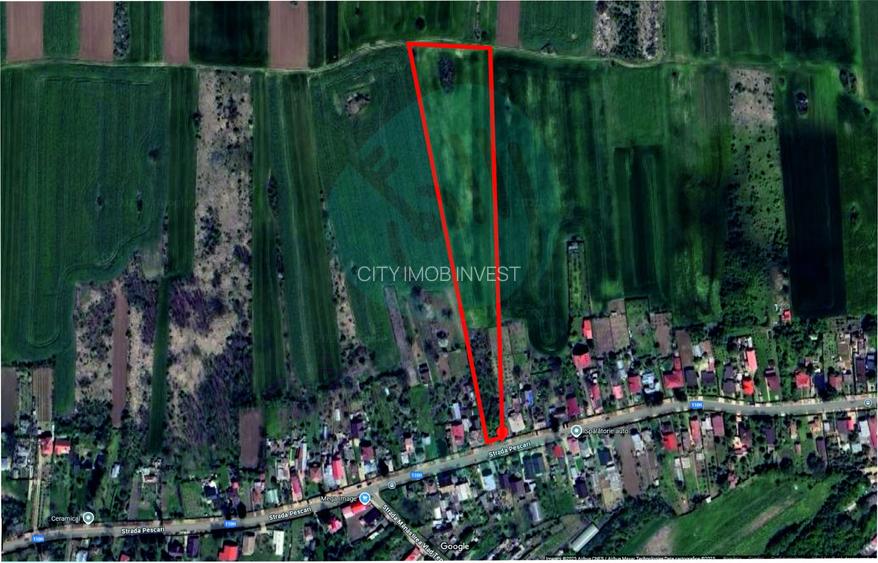 Teren 16534 mp pentru dezvoltare rezidențială, Siliștea Snagovului - 2