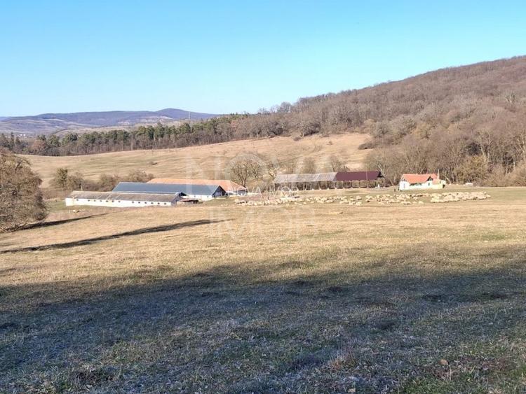 Ferma complet echipata de vanzare – zona Agnita, judetul Sibiu - 2