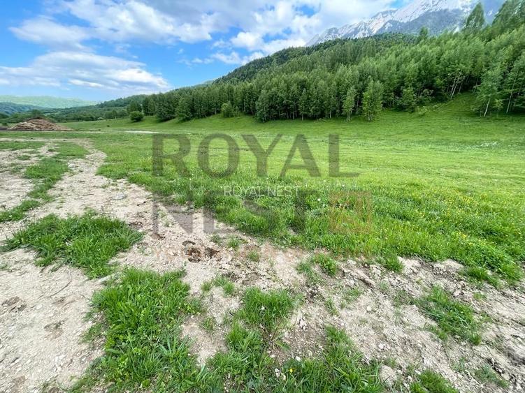 COMISION 0%! Teren superb la Plaiul Foii, pe malul Barsei - 5