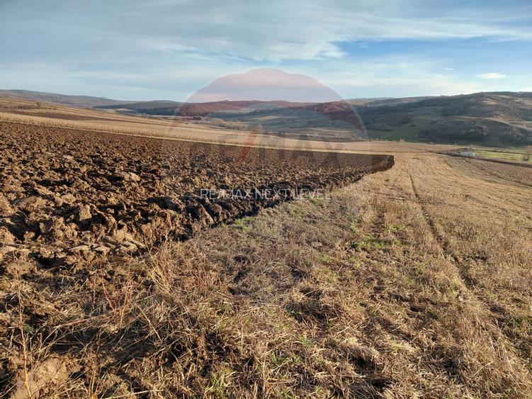 Teren 7,200mp Secuieni / DN Principala - 3