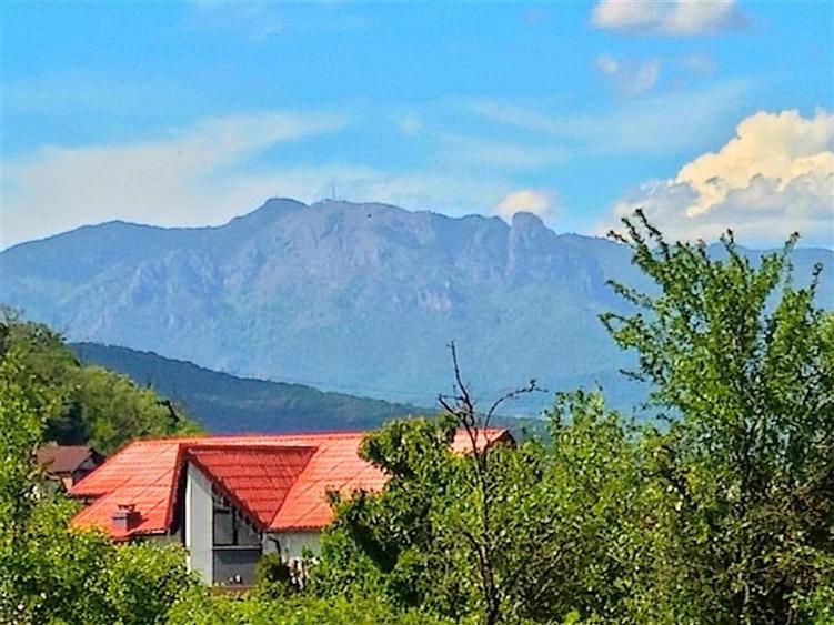 CASA PE PARTER IN BUJORENI - LINISTE, CURTE SI VEDERE SPRE VF. COZIA