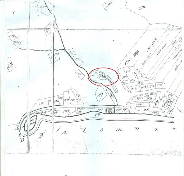 Proprietate rară în inima Retezatului – 5.700 mp teren intravilan - 9