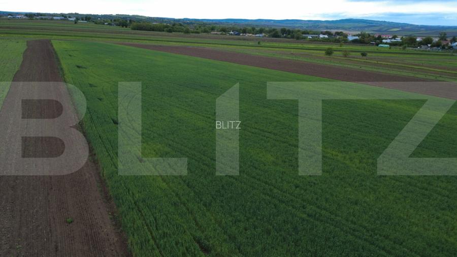 Teren agricol, 5.200 mp, Comuna Sendriceni - 4