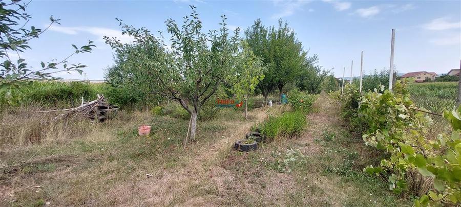 Casa cu piscina acoperita pentru inot zona Alba-Micesti
