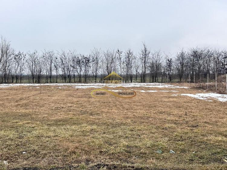 Teren de vanzare Siretu Saucesti Bacau - 6