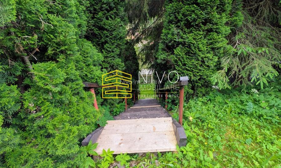 Cabană – Mureș – Sălard – Zona Pensiunea Denisa - 18
