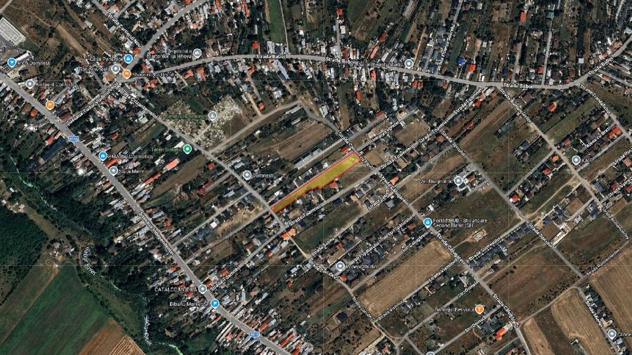DOMNESTI - 5,200 M²- Strada Campul cu Flori