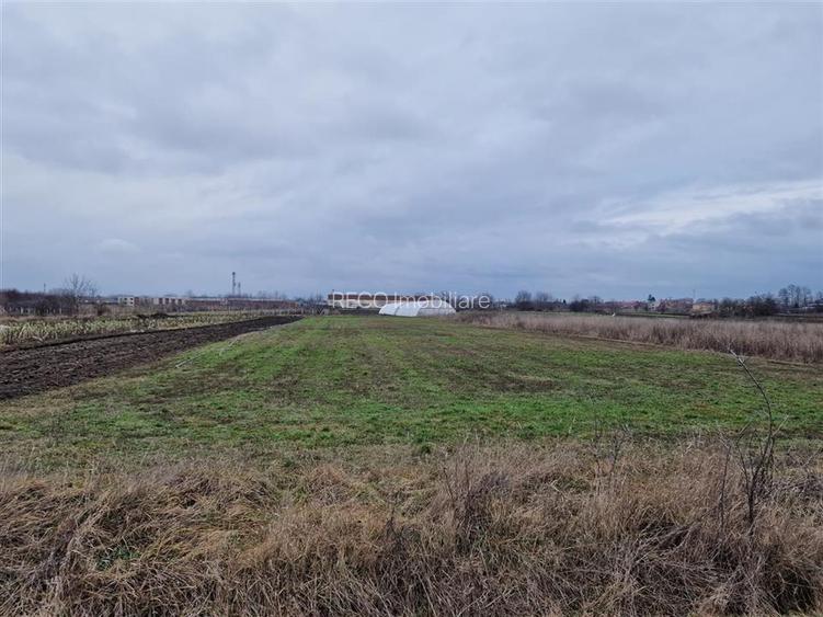 RECO Teren intravilan in Bors cu front mare - 5