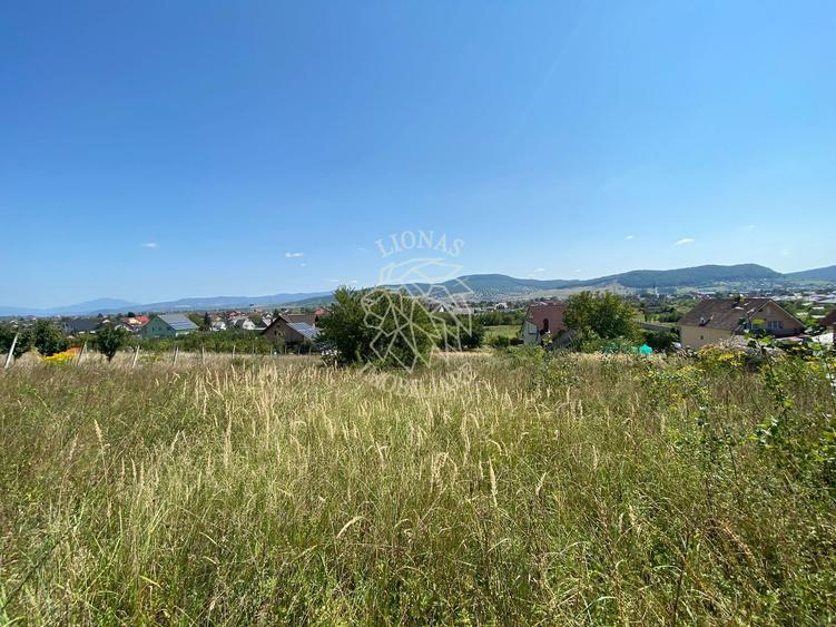 Teren intravilan 1300 mp-Viile cu Pomi-Unirea-Exclusiv