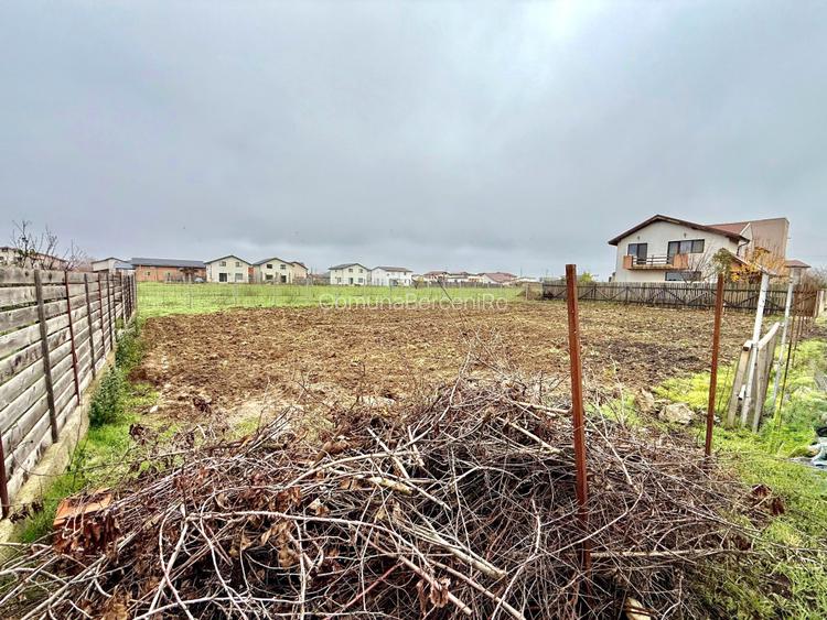 Lot Intravilan Rate 644mp Mamina - Berceni | utilitati: Curent | #MG2R - 2
