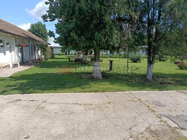 Afacere de vânzare: Fermă Avicola – Ialomița - 9