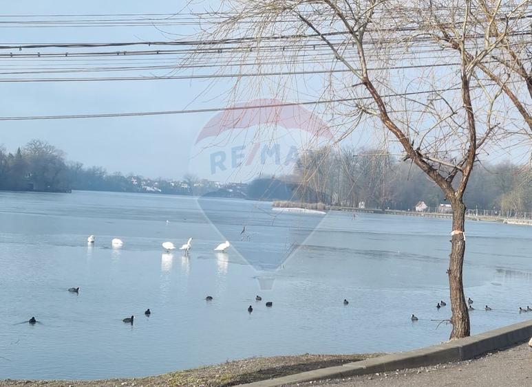 Vanzare Teren 625mp Mogosoaia / Strada Livezilor