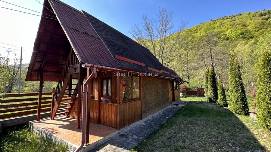 Casa cu teren langa râu Lotrioara - 5