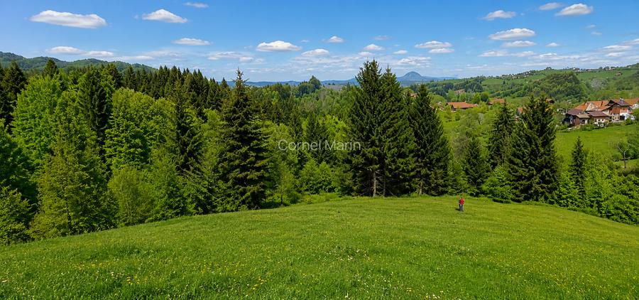 2 HECTARE DE TEREN INTRAVILAN + 3 CASE PREMIUM ÎN INIMA BRANULUI - 3