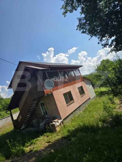 Livada de vanzare, 16.000 mp, zona Hodac