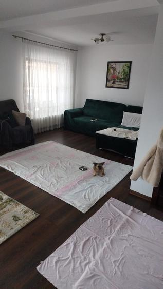 Vila Valea Adinca cod 156481