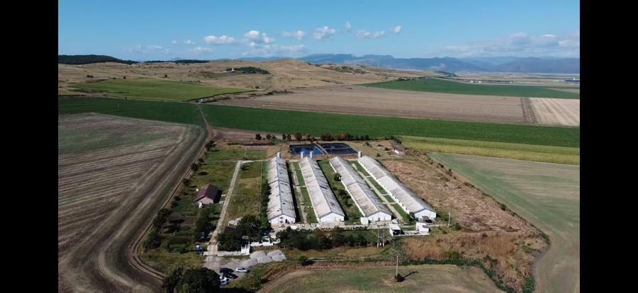 Teren 43884 mp intravilan, 4 hale 6000 mp, nod autostrada, Bogata