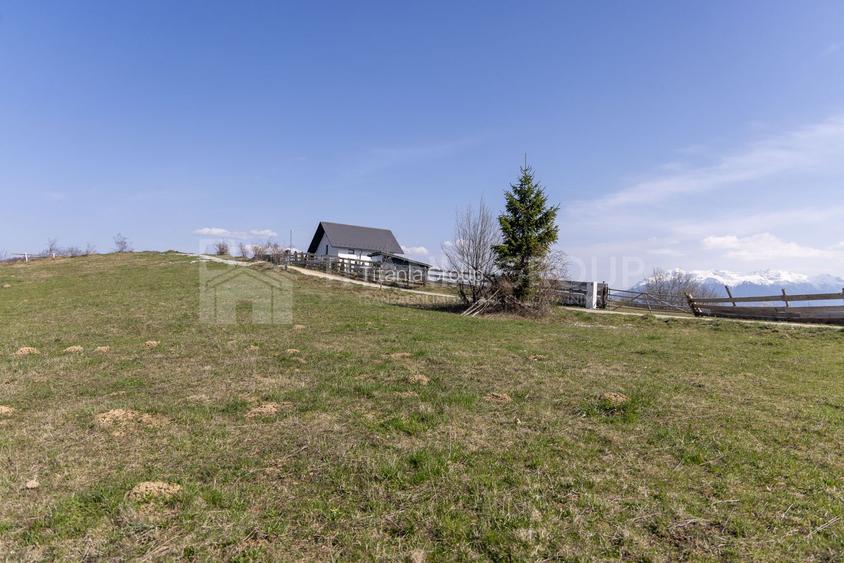 🌿 Teren Intravilan 3.791 mp | Priveliște Panoramică Superbă | Poiana Mărului - 22