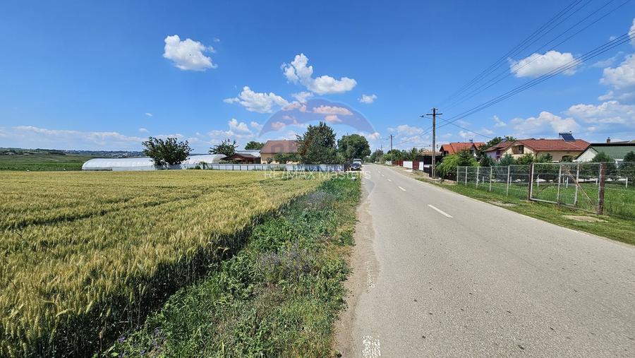 Teren 15,000mp Salcea-Prelipca, Suceava - 11