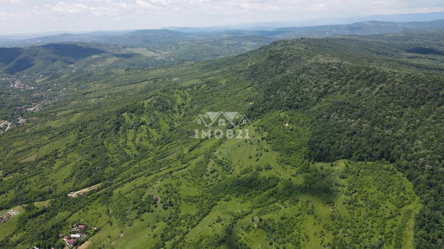 Teren spectaculos cu padure, livada si priveliste panoramica in Soimari PH