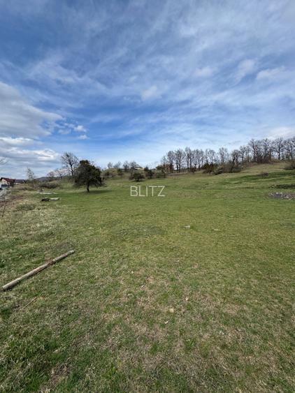 Teren intravilan 1.17ha cu panoramă superbă și PUZ aprobat – Baia Sprie - 4
