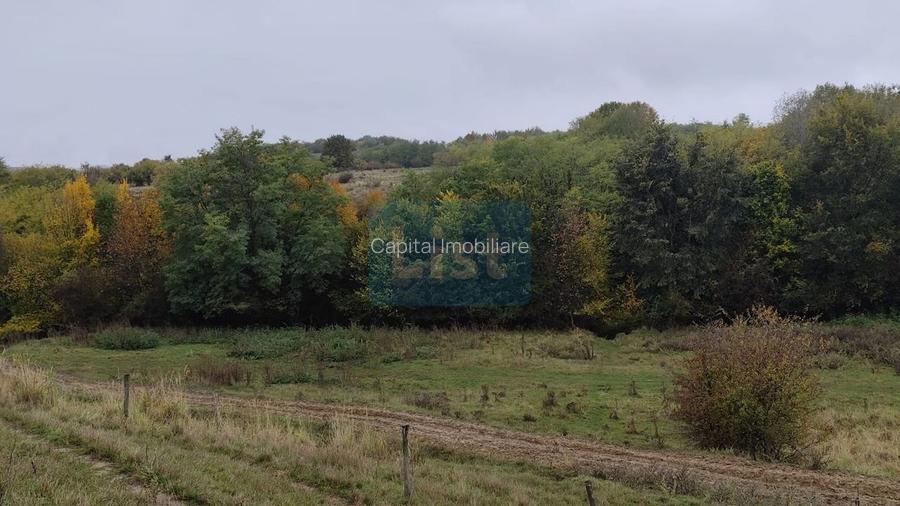 VIla de vanzare Teisani Stubeiu 11250 mp - 6