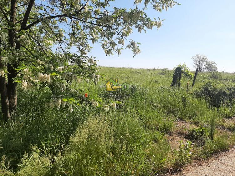 Teren Extravilan, Dealu Viilor, Lugoj - 6