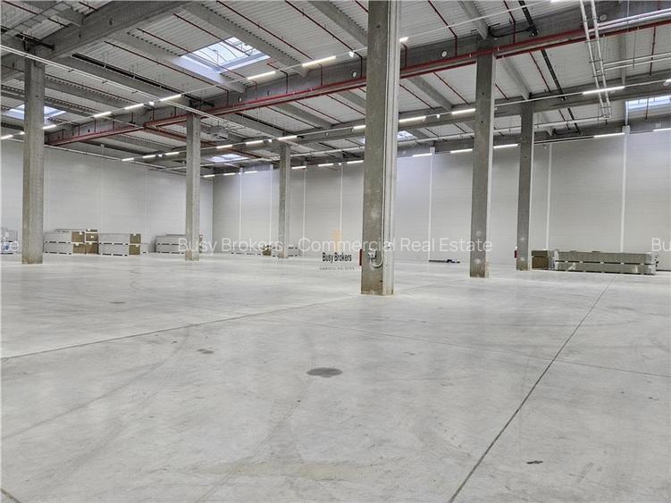 Spatiu Industrial - 4500 mp - Logistica - Productie - Depozitare - 6