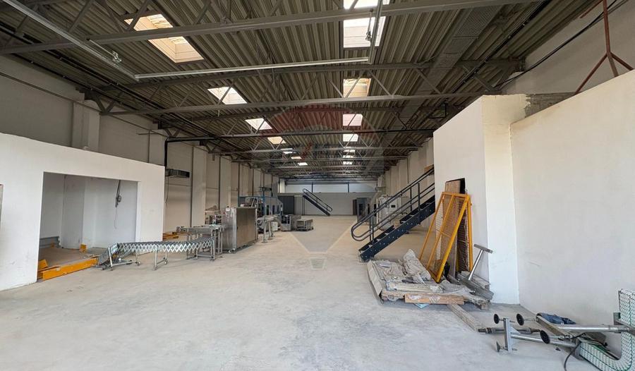 Spatiu industrial 6669 mp vanzare in Hală, Constanta, Valu lui Traian