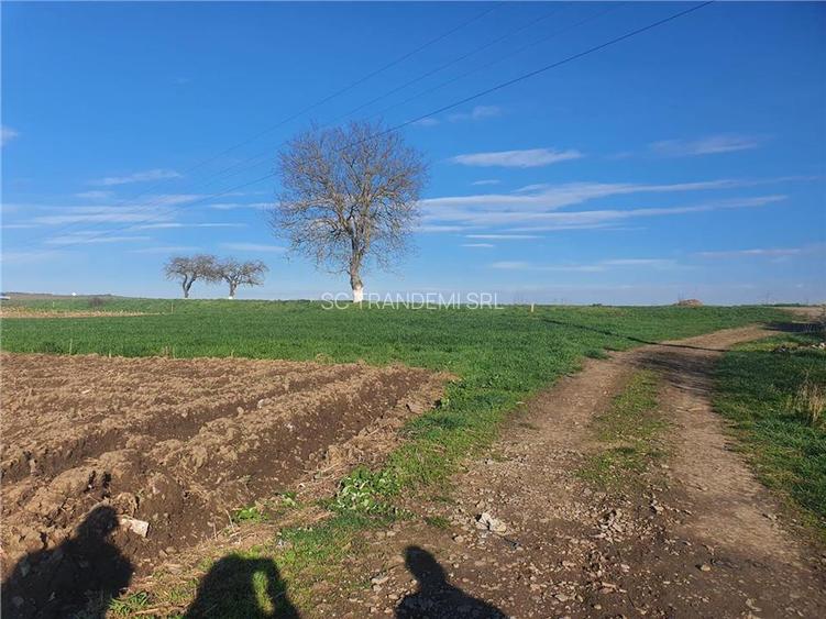 Teren extravilan 4.500- max.18.300mp in comuna Rosia (17 km de Sibiu) - 5
