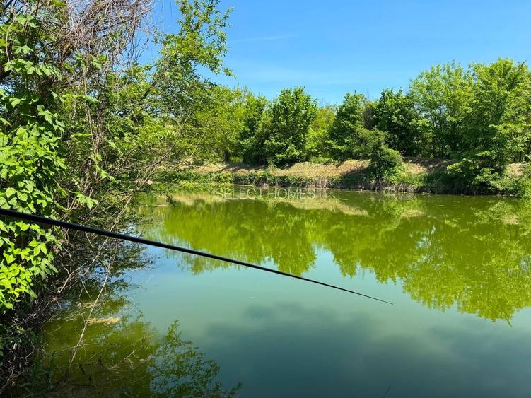Domeniu de 13.054 mp cu vilă de ~1.000mpc și lac privat Teisori, Bulbucata - 27