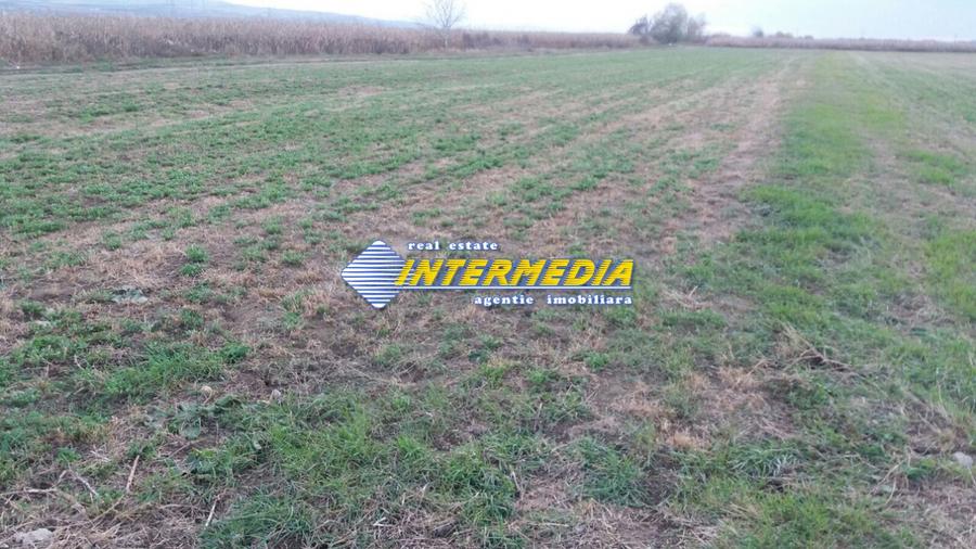 Teren Intravilan 5000 mp Zona Soseaua de Centura, Alba Iulia
