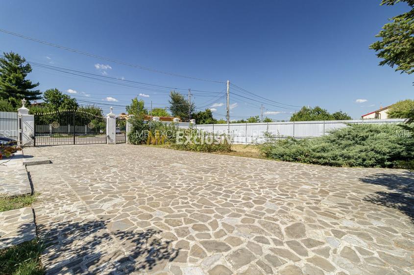 Domeniu privat 5.000 mp, cu reședință de 625 mp și piscină, Corbeanca - 34