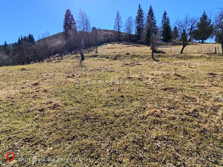 Teren la munte în Bucovina - 2