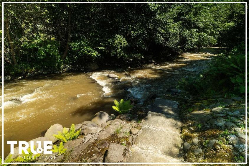 Casă de vacanță premium • 170 m² • Teren 2.500 m² • Bistra Mureșului