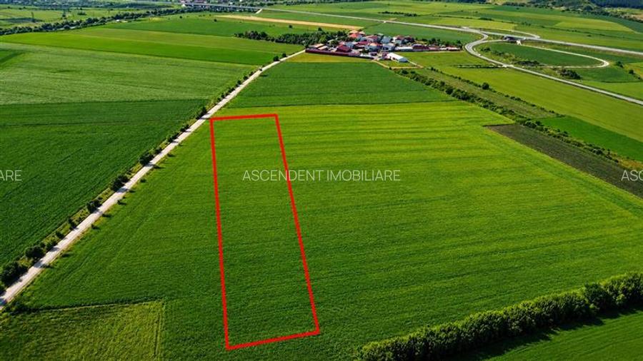 Teren logistic 8.397 mp, Ludus: Vizibilitate si acces direct din Nodul A3, Mures - 5