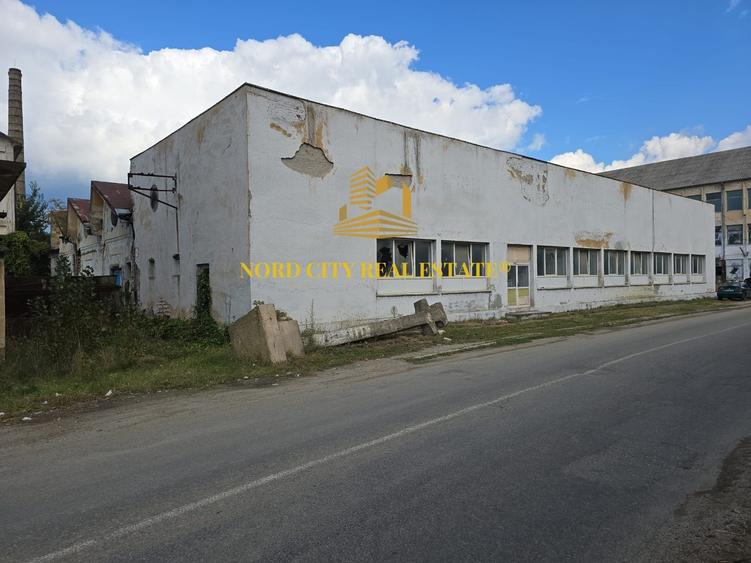Platforma Industriala-8 ha -Fabrica-Hale Productie-21.500 mp